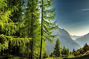 Slovenia: Slovenia, Triglav National Park. Landscape with Julian Alps