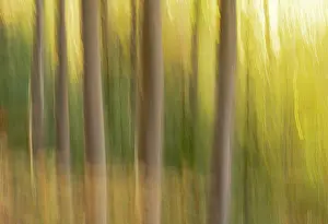 Goff: Slovenia, Triglav National Park. Freeform images