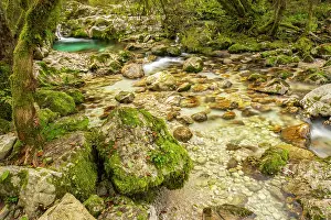 Rapid: Slovenia, Triglav National Park. Soca River rapids and