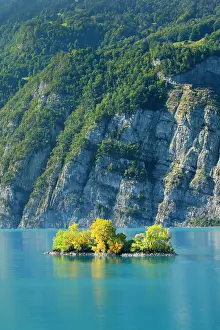 Graphic: Small chive island in the turquoise waters of Lake