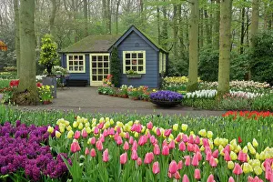 Shop: Small cottage flower shop, Keukenhof Gardens