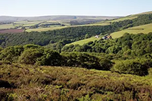 Farmstead: Small farmstead on Exmoor