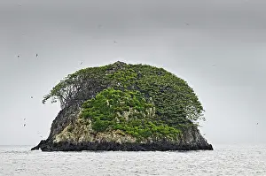 Cocos: Small forested rocky island off Cocos Island, UNESCO