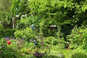 Terraced: Small garden in an estate of terraced houses, Geretsried