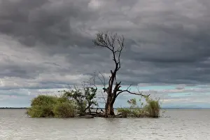 Mesoamerica: Small island with tropical vegetation in Lake Nicaragua