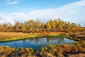 Swedish: Small lake in autumnal landscape, Norrbottens, Norrbottens