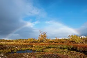 Prismatic: Small lake, autumnal landscape with rainbow, Norrbottens