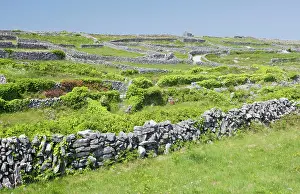 Walled: Small limestone-walled old fields on Inisheer the Burren