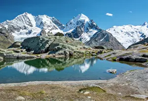 Bernina: Small mountain lake on Fuorcla Surlej with Piz Bernina