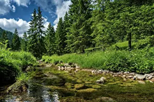 Tegernsee: Small mountain stream, near Tegernsee, Upper Bavaria