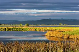 Mission: Small pond reflects the clouds at sunrise