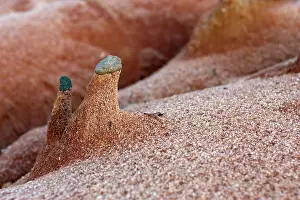 Donana: Small red sand sculpture with litle rock on top