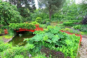 Aquitaine: Small red wooden bridge in the botanical garden
