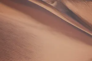 Ripples: Small ripples from the wind on a sand dune