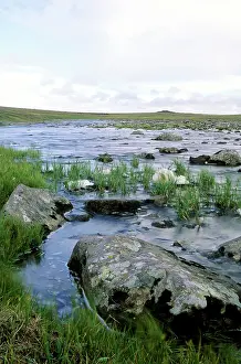 Siberia: A small river in arctic tundra