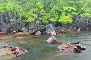 Rainfall: Small river with heavy rainfall