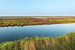 Arles: Small river runs through the wetland in the Camargue during