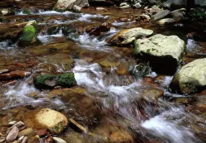 Rushing: Small Rocky Stream