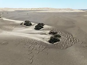 Desertification: Small sand heaps form around the sparse vegetation in the Namib Desert