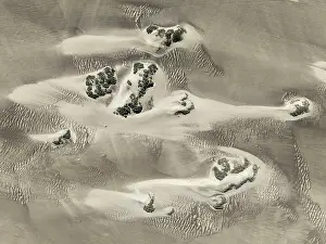 Desertification: Small sand heaps form around the sparse vegetation in the Namib Desert