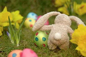 Representations: Small soft toy, bunny, in between Easter eggs and