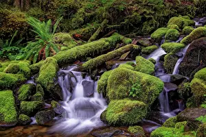 Adam: Small stream cascading through moss covered rocks