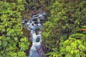 Pure: Small stream or creek, Costa Rica