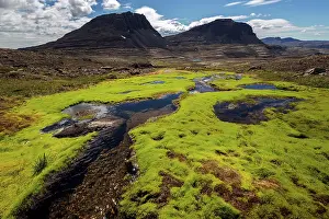 Grown: Small stream through moss in barren surroundings