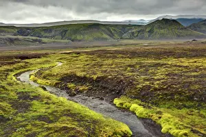 Florissa: Small stream and moss, Iceland