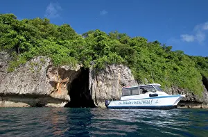 Snorkeling: Small whale watching vessel - snorkeling at Swallow's Cave