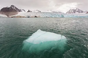 Debouches: Smeerenburgbreen glacier debouches into Bjornfjord