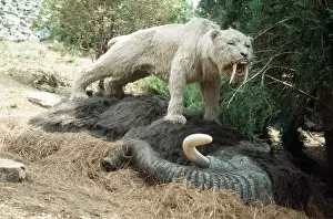 Model: SMILODON / Sabre-Tooth Cat / TIGER on mammoth kill