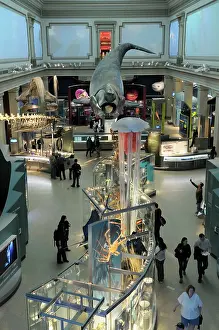 Smithsonian: Smithsonian Hall of Ocean Life