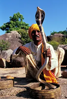Indians: Snake charmer and his cobra