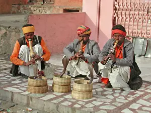 Wildife: Snake Charmers