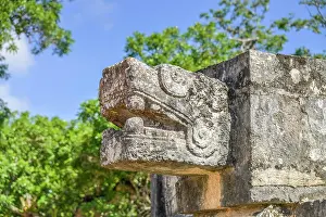 Sign: Snake head, Platform of Venus Plataforma de Venus