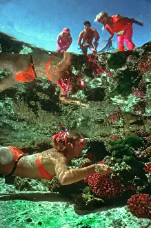 Snorkeller: Snorkeler - in a coral pool watched by reef walkers