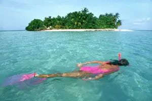 Snorkeller: Snorkeller - Indian Ocean Coral Reef