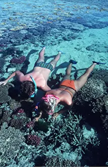 Reefs: Snorkellers on reef at Heron Island