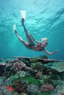 Snorkeller: Snorkler, coral garden - Girl in a bikini diving