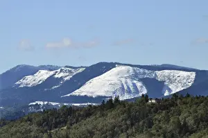 Cutting: Snow in Clearcuts