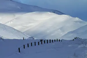 Maniototo: Snow-covered farmland beside the Pigroot