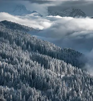 Brixen: Snow-covered forest and mountains between clouds