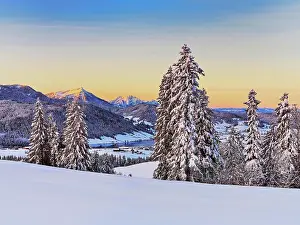 Rigi: Snow-covered forest with view of Lake Aegeri behind