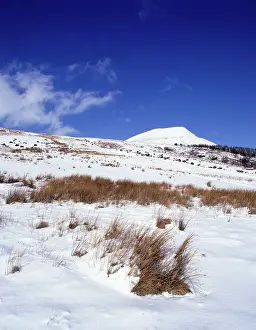 Beacons: Snow covered Hillside