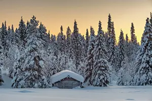 Snowed: Snow-covered hut in winter landscape, morning atmosphere