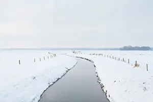 Drentsche: Snow covered meadow with stream and fence poles
