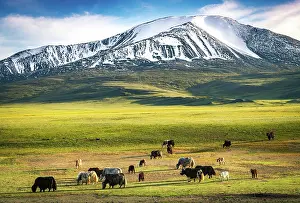 Mongolian: Snow-covered Mount Tsengel. Western Mongolia