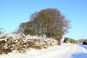 Burford: Snow covered Road