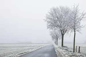 Roads: A snow-covered road stretches under foggy